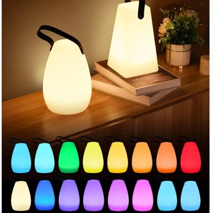 Rechargeable LED Table Lamp with Remote Control and Type C Charging Port