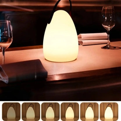 Rechargeable LED Table Lamp with Remote Control and Type C Charging Port