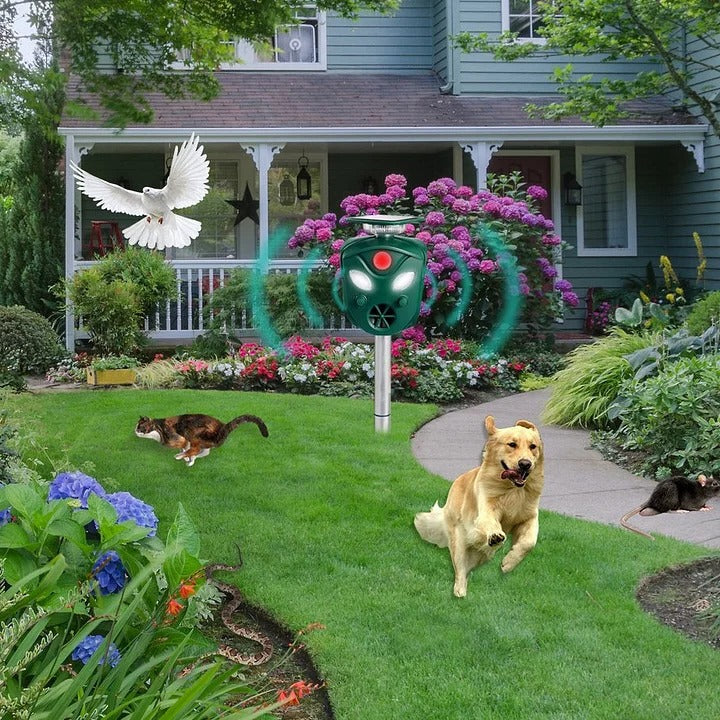 Motion Sensor Animal Repeller with Solar Power and 360 Degree Detection, 32ft Range