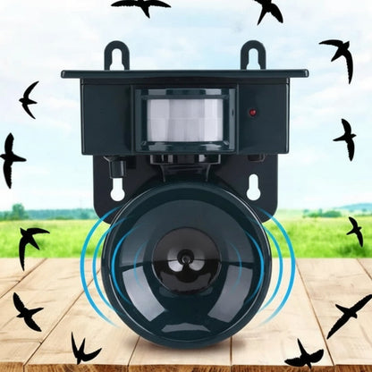 Solar Powered Bird Repeller with Motion Sensor and Recorded Sound System
