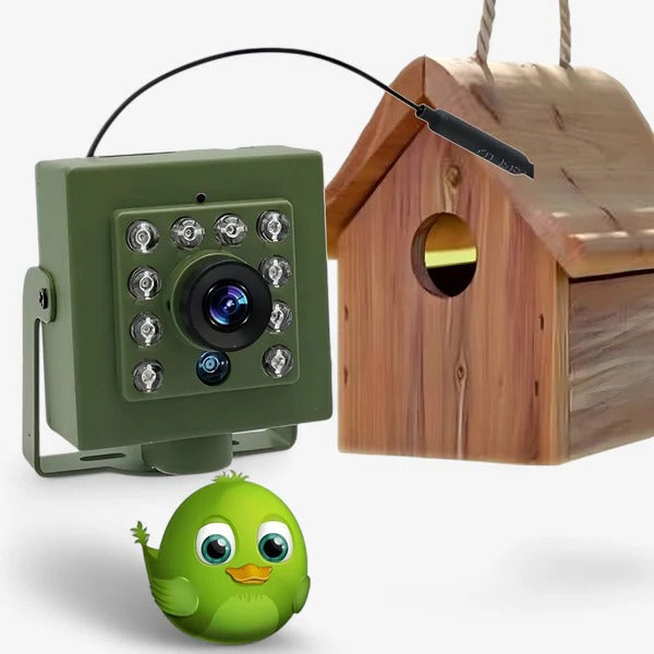 Bird Nest Camera with 1080p HD Recording and Night Vision, Motion Alerts