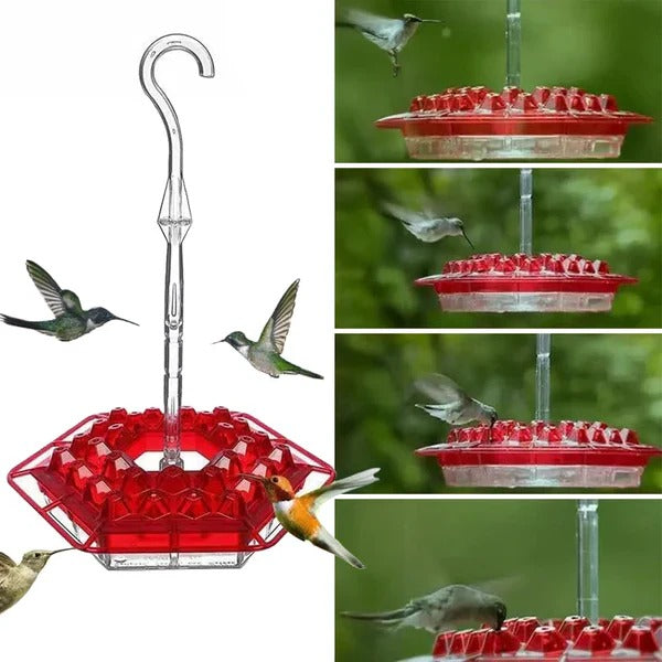 Hummingbird Feeder with 30 Hexagonal Ports and Integrated Ant Moat