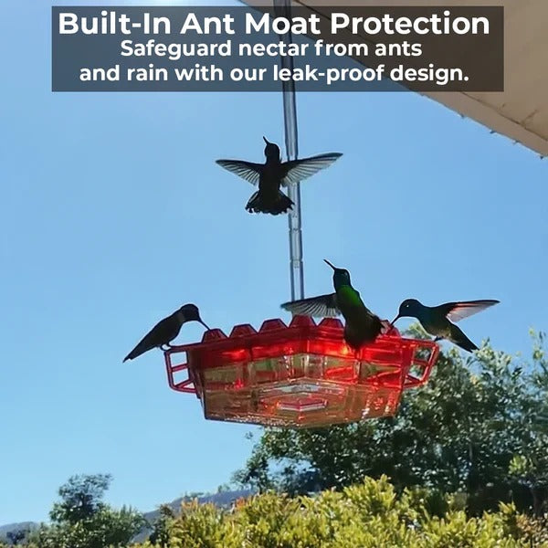 Hummingbird Feeder with 30 Hexagonal Ports and Integrated Ant Moat