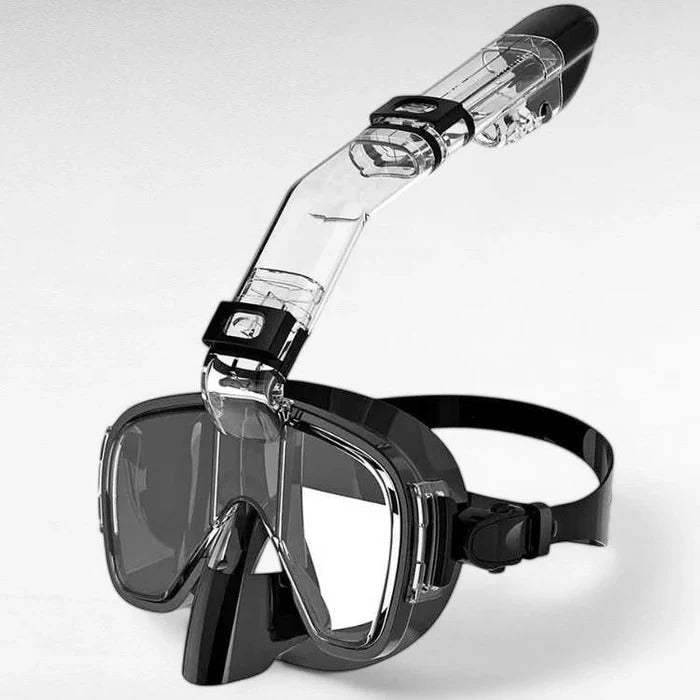 Panoramic Snorkeling Mask with Dry Top Tube and Fog Resistant Lens