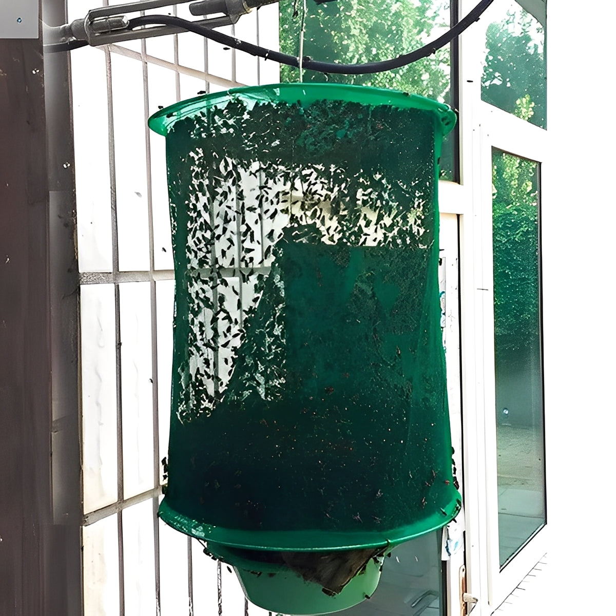 Hanging Fly Trap with Bait Attraction and Washable Container