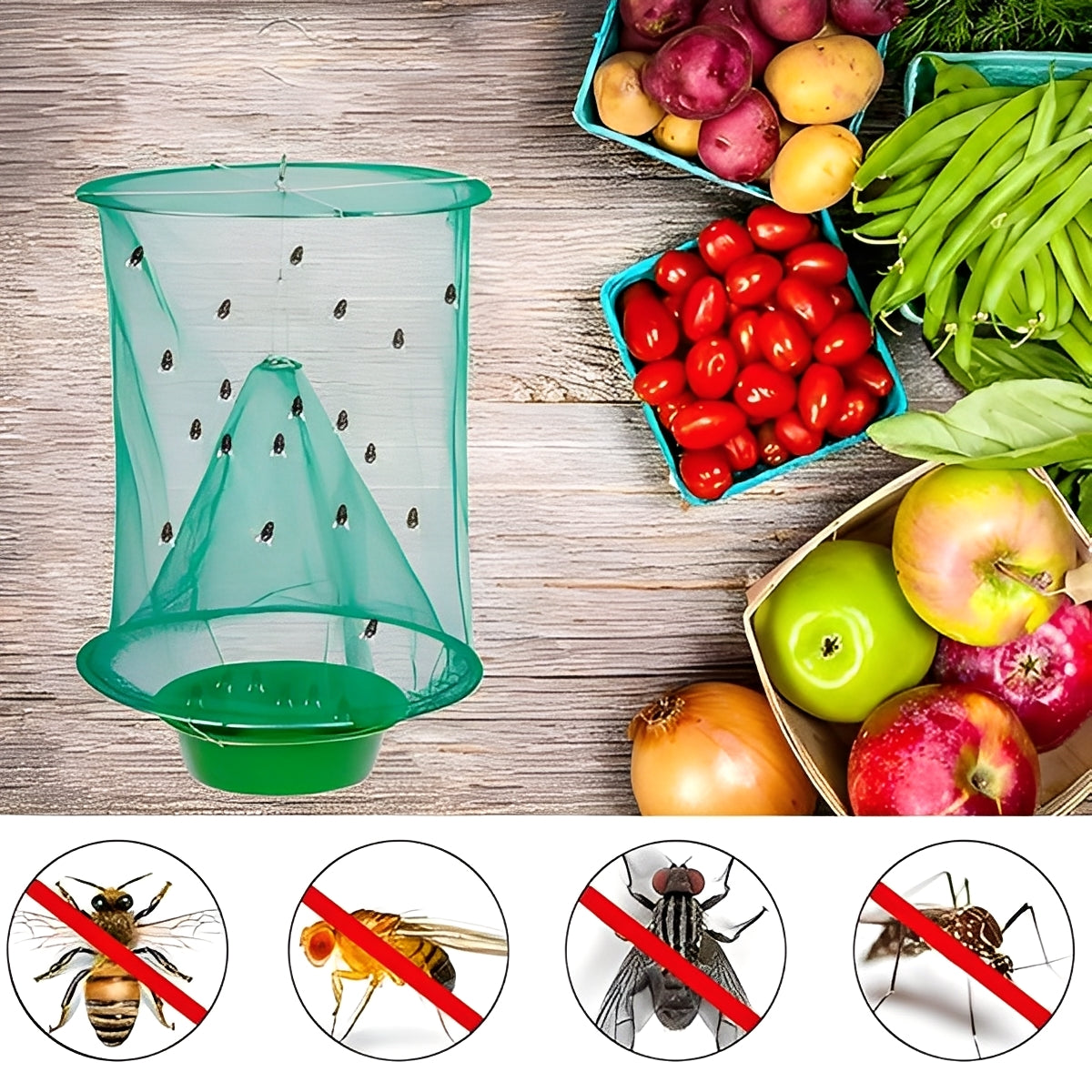 Hanging Fly Trap with Bait Attraction and Washable Container