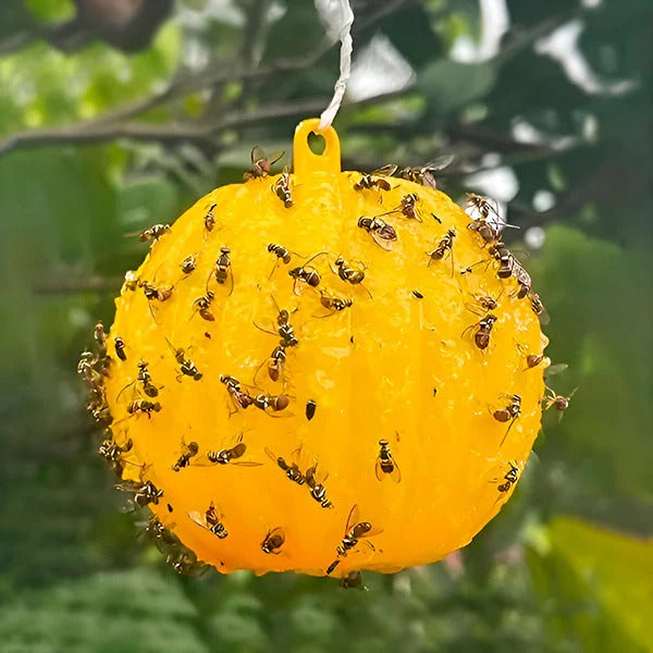 Adhesive Fly Trap for Outdoor Gardens and Patios, Set of 6