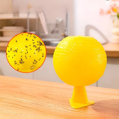 Adhesive Fly Trap for Outdoor Gardens and Patios, Set of 6