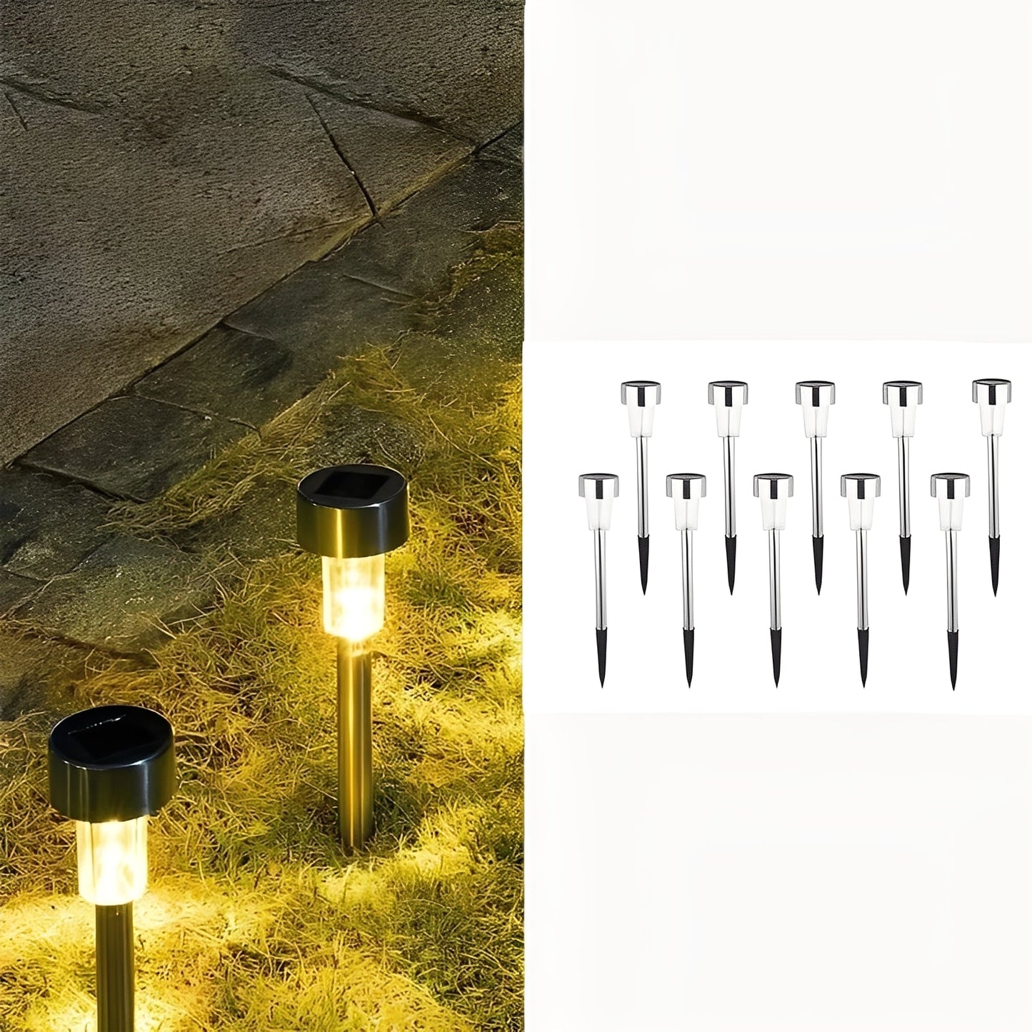 Solar Pathway Lights with Automatic Sensor and Stainless Steel Stakes, Set of 10