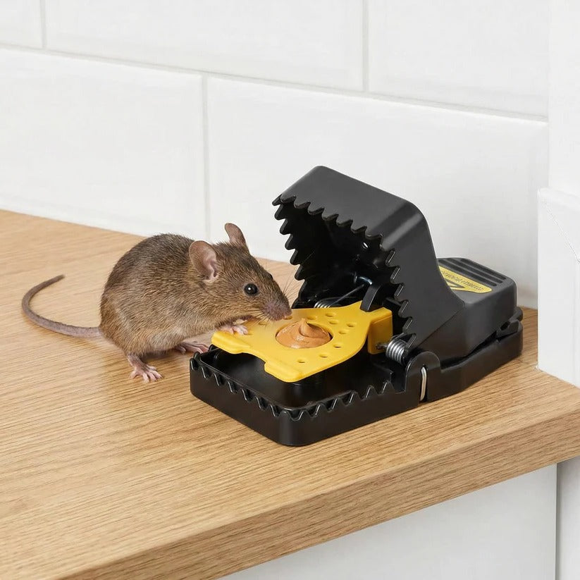 Mouse Trap Reusable 4 Pack with No Touch Release Button and Sensitive Trigger