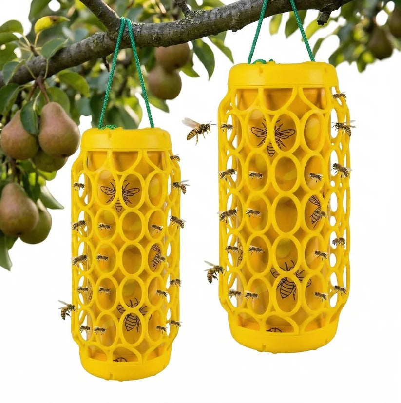 Hanging Wasp Trap with Replaceable Sticky Boards and Bird Guards, Set of 2
