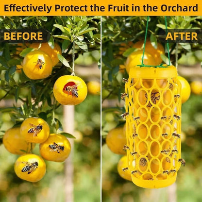 Hanging Wasp Trap with Replaceable Sticky Boards and Bird Guards, Set of 2