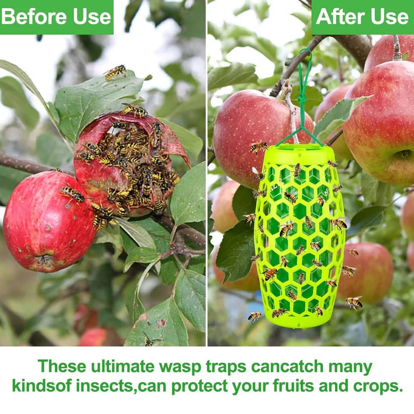 Hanging Wasp Trap with Replaceable Sticky Boards and Bird Guards, Set of 2