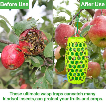 Hanging Wasp Trap with Replaceable Sticky Boards and Bird Guards, Set of 2