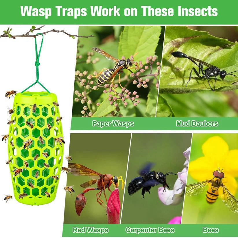 Hanging Wasp Trap with Replaceable Sticky Boards and Bird Guards, Set of 2