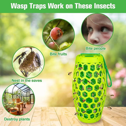 Hanging Wasp Trap with Replaceable Sticky Boards and Bird Guards, Set of 2