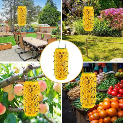 Hanging Wasp Trap with Replaceable Sticky Boards and Bird Guards, Set of 2