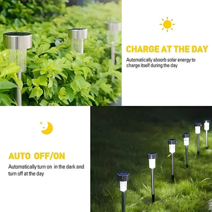Solar Pathway Lights with Automatic Sensor and Stainless Steel Stakes, Set of 10