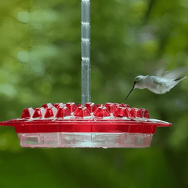 30-Port Hummingbird Feeder with Ant Moat and Clear Viewing Window