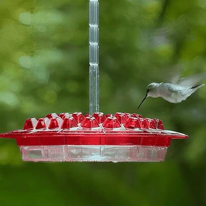 30-Port Hummingbird Feeder with Ant Moat and Clear Viewing Window