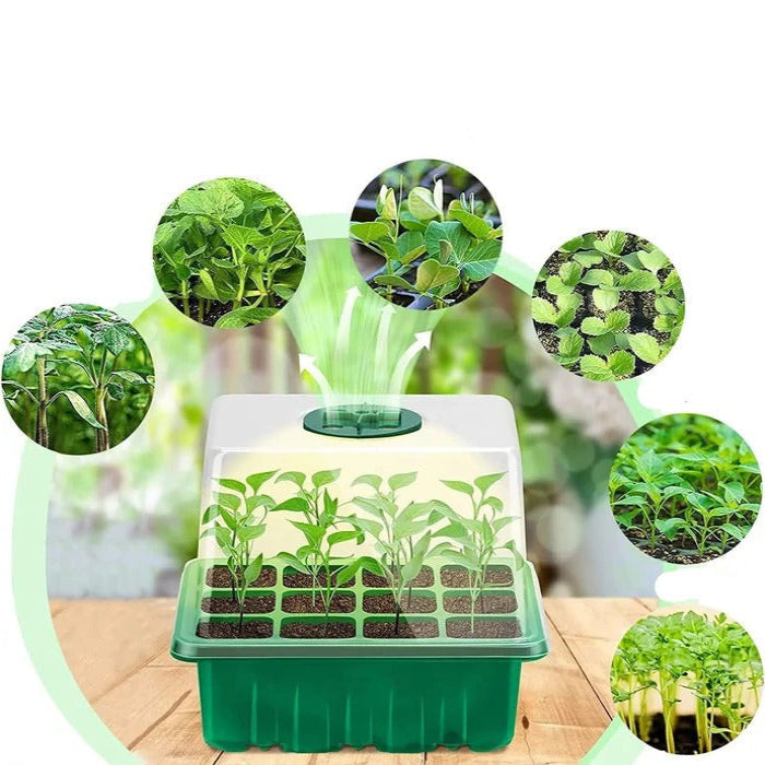 Seedling Starter Tray with Full Spectrum Grow Light and Raised Dome Cover