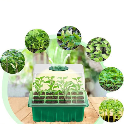 Seedling Starter Tray with Full Spectrum Grow Light and Raised Dome Cover