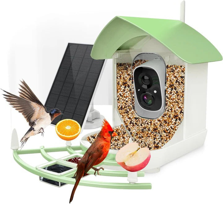 Bird Feeder Camera with AI Species Recognition and Solar Power, Night Vision