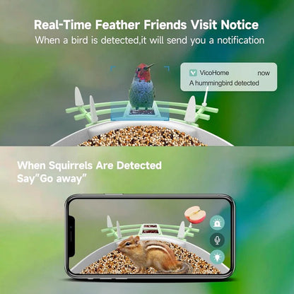 Bird Feeder Camera with AI Species Recognition and Solar Power, Night Vision