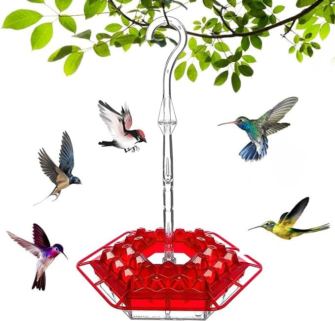 Hummingbird Feeder with Ant Moats and 30 Flower Shaped Ports, Hanging Design