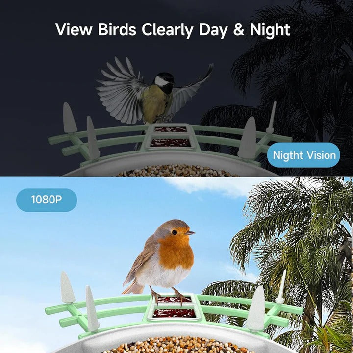 Bird Feeder Camera with AI Species Recognition and Solar Power, Night Vision