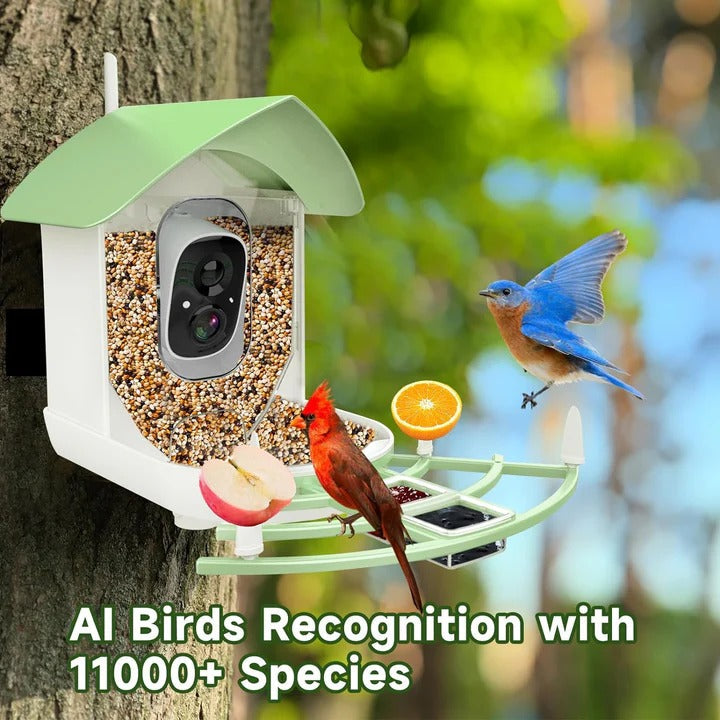 Bird Feeder Camera with AI Species Recognition and Solar Power, Night Vision