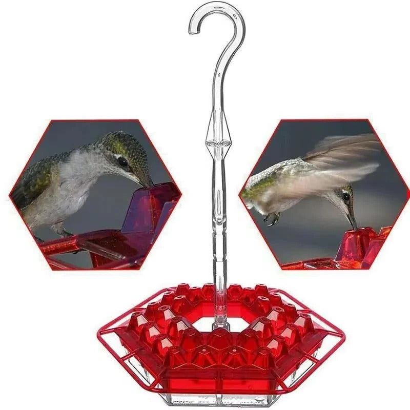 Hummingbird Feeder with Ant Moats and 30 Flower Shaped Ports, Hanging Design