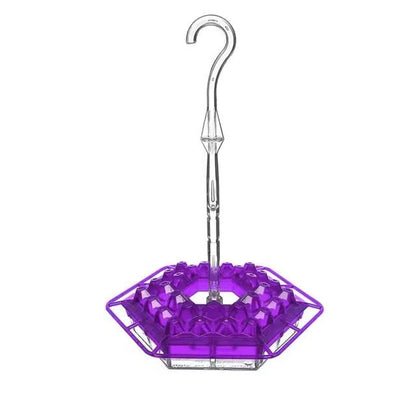 Hummingbird Feeder with Ant Moats and 30 Flower Shaped Ports, Hanging Design