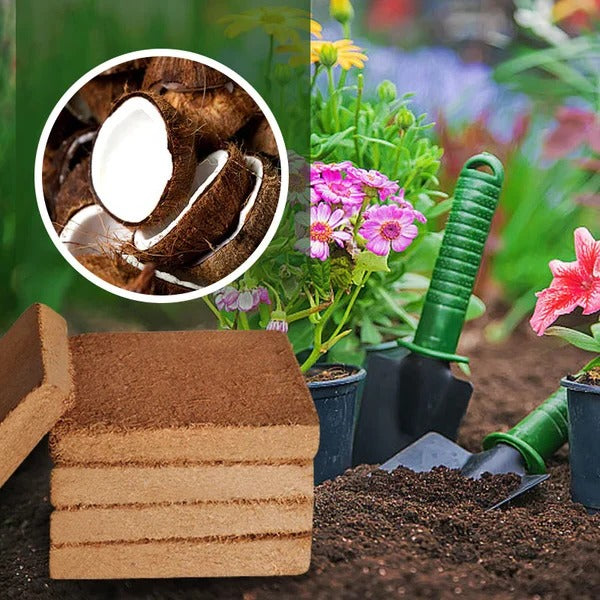 Compressed Coco Coir Block, Water Expanding Growing Medium for Plants