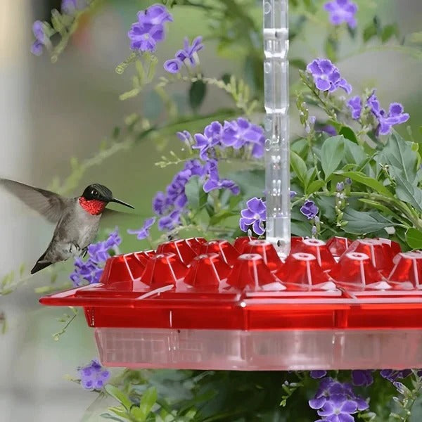 Hummingbird Feeder with Ant Moat and Four Feeding Ports, 24oz Capacity