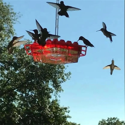 Hummingbird Feeder with Ant Moats and 30 Flower Shaped Ports, Hanging Design