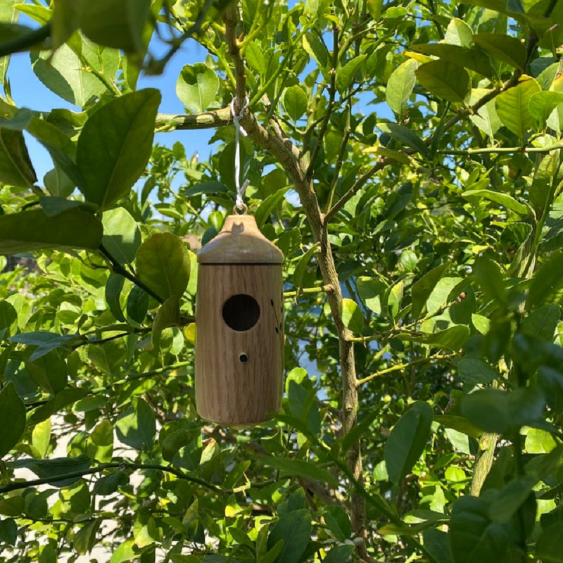Hummingbird Nesting House with Hanging Loop and Wood Grain Finish, 3.1x3.1x5.9in