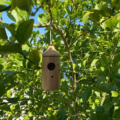 Hummingbird Nesting House with Hanging Loop and Wood Grain Finish, 3.1x3.1x5.9in