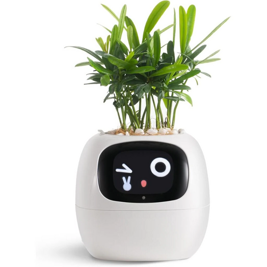Smart Plant Pot with Automatic Watering and Soil Monitoring, Voice Control