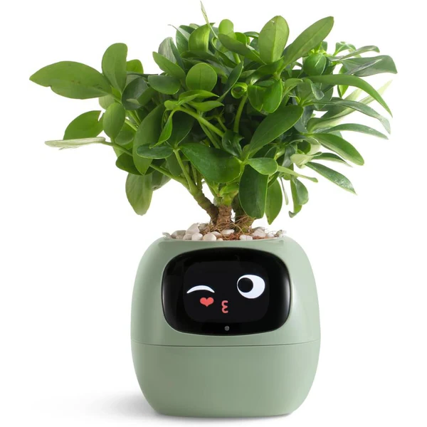 Smart Plant Pot with Automatic Watering and Soil Monitoring, Voice Control