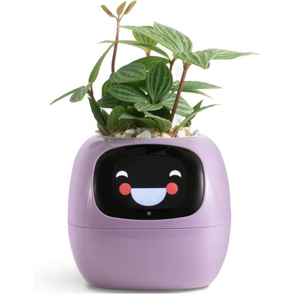 Smart Plant Pot with Automatic Watering and Soil Monitoring, Voice Control