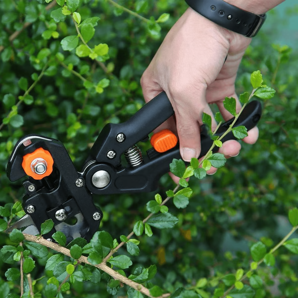 Grafting and Pruning Tool with Three Interchangeable Blades and Safety Lock