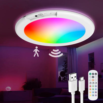 Motion Sensor LED Ceiling Light with Remote Control and Adjustable Brightness, Rechargeable