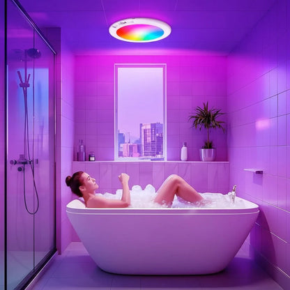 Motion Sensor LED Ceiling Light with Remote Control and Adjustable Brightness, Rechargeable