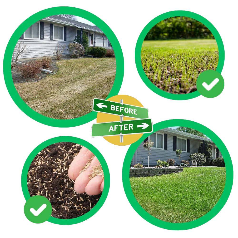 Biodegradable Grass Seed Mat with Embedded Fertilizer and Dual Fabric Layers