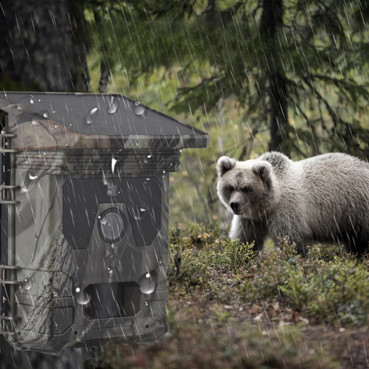 Wildlife Trail Camera with Solar Panel and 4K Video, 50MP Photos