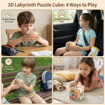 Metal Ball 3D Maze Puzzle with Clear Walls and Multiple Pathways